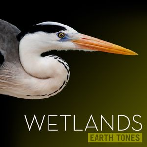 Wetlands