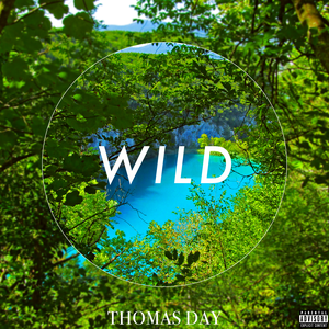 Wild (Single)