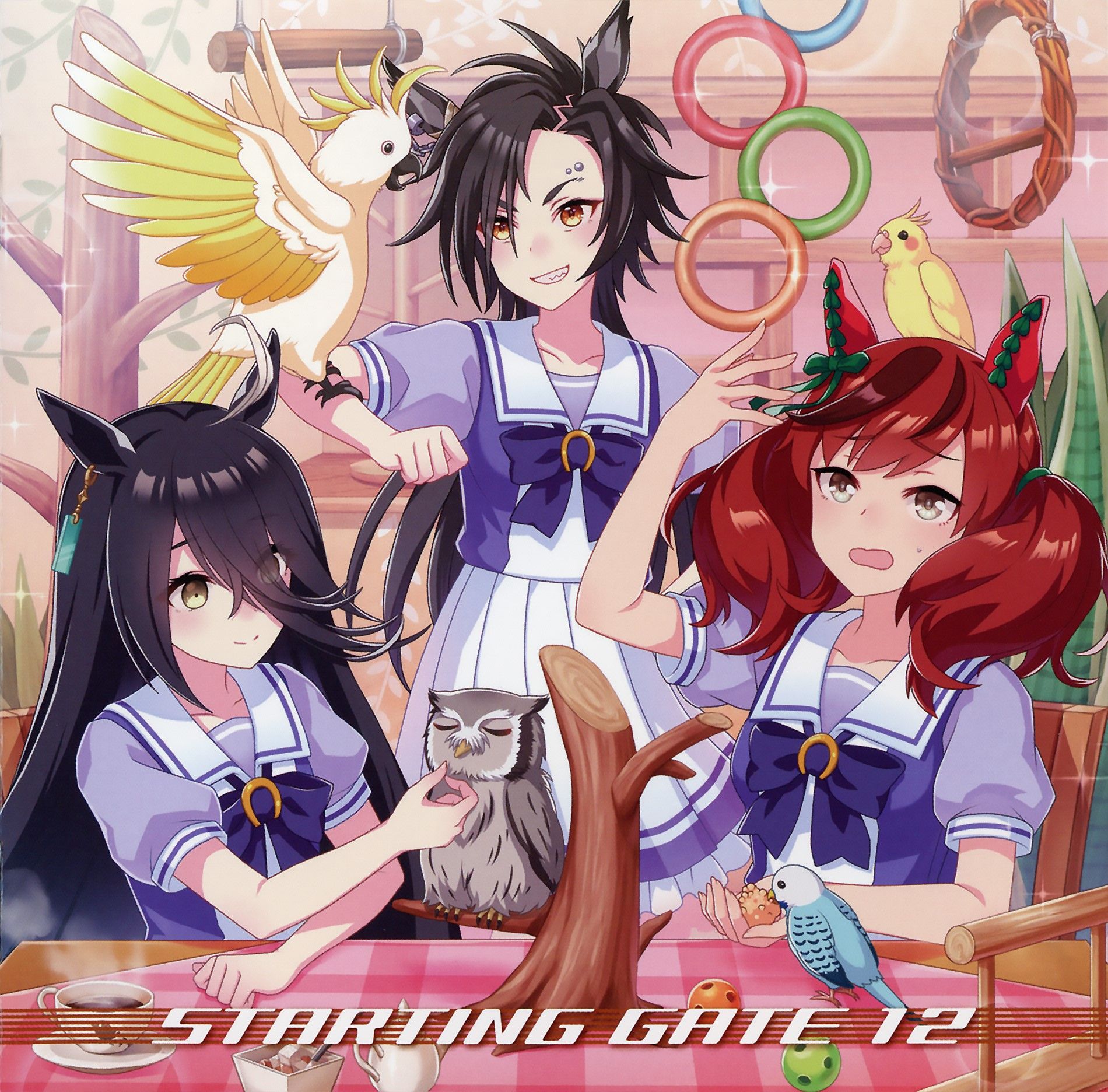 ウマ娘 プリティーダービー Starting Gate 12 Single Senscritique