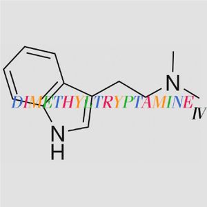 Dimethyltryptamine ＩＶ