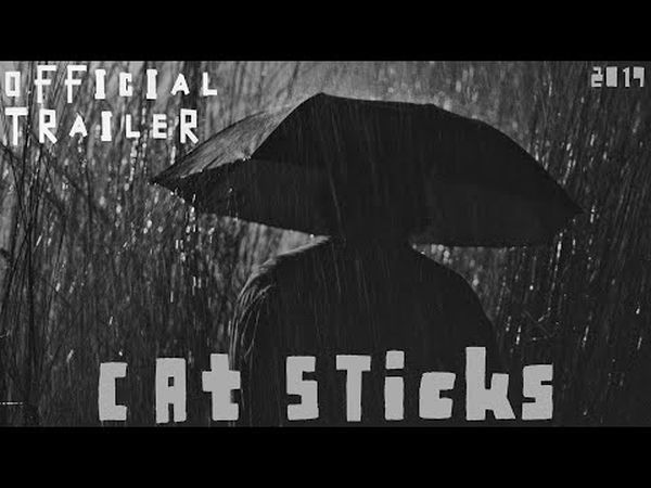 Cat sticks