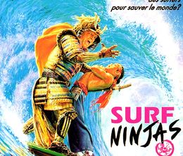 image-https://media.senscritique.com/media/000019420357/0/surf_ninjas.jpg