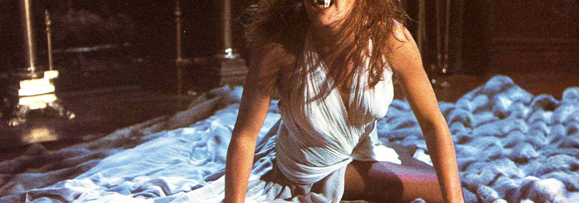 Cover Vampire, vous avez dit Vampire ?