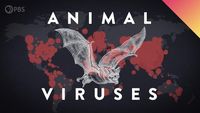 Why Do Other Animals Keep Giving Us Viruses?