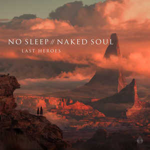 No Sleep // Naked Soul (Single)