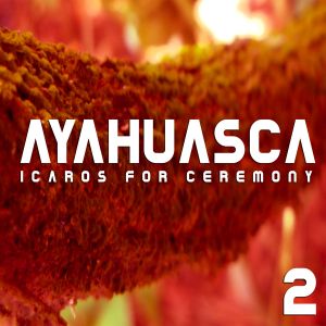 Ayahuasca Icaros for Ceremony 2 (Live)