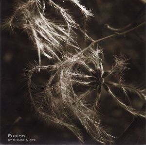 Quasar