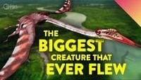 How Did Giant Pterosaurs Fly?