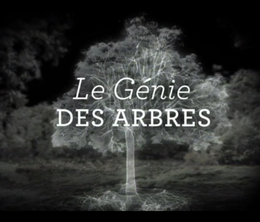 image-https://media.senscritique.com/media/000019433332/0/le_genie_des_arbres.png