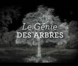 image-https://media.senscritique.com/media/000019433337/0/le_genie_des_arbres.png