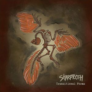 Transitional Forms