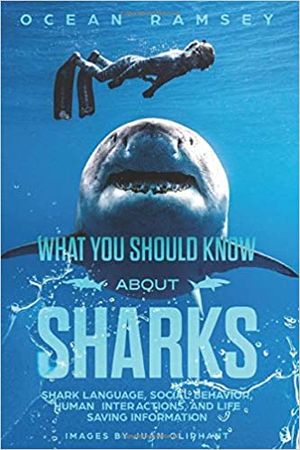 What You Should Know About Sharks
