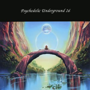 Psychedelic Underground 16