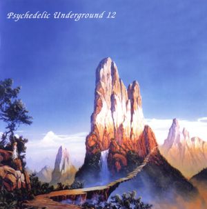 Psychedelic Underground 12