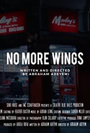 No More Wings