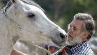 Oscar ou l'art d'apprivoiser les chevaux