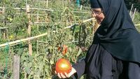 Grèce, les petites soeurs de la terre