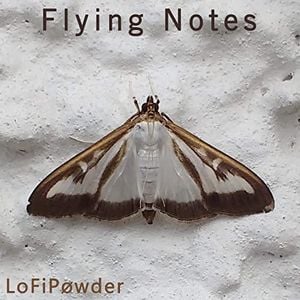 Flying Notes (Single)