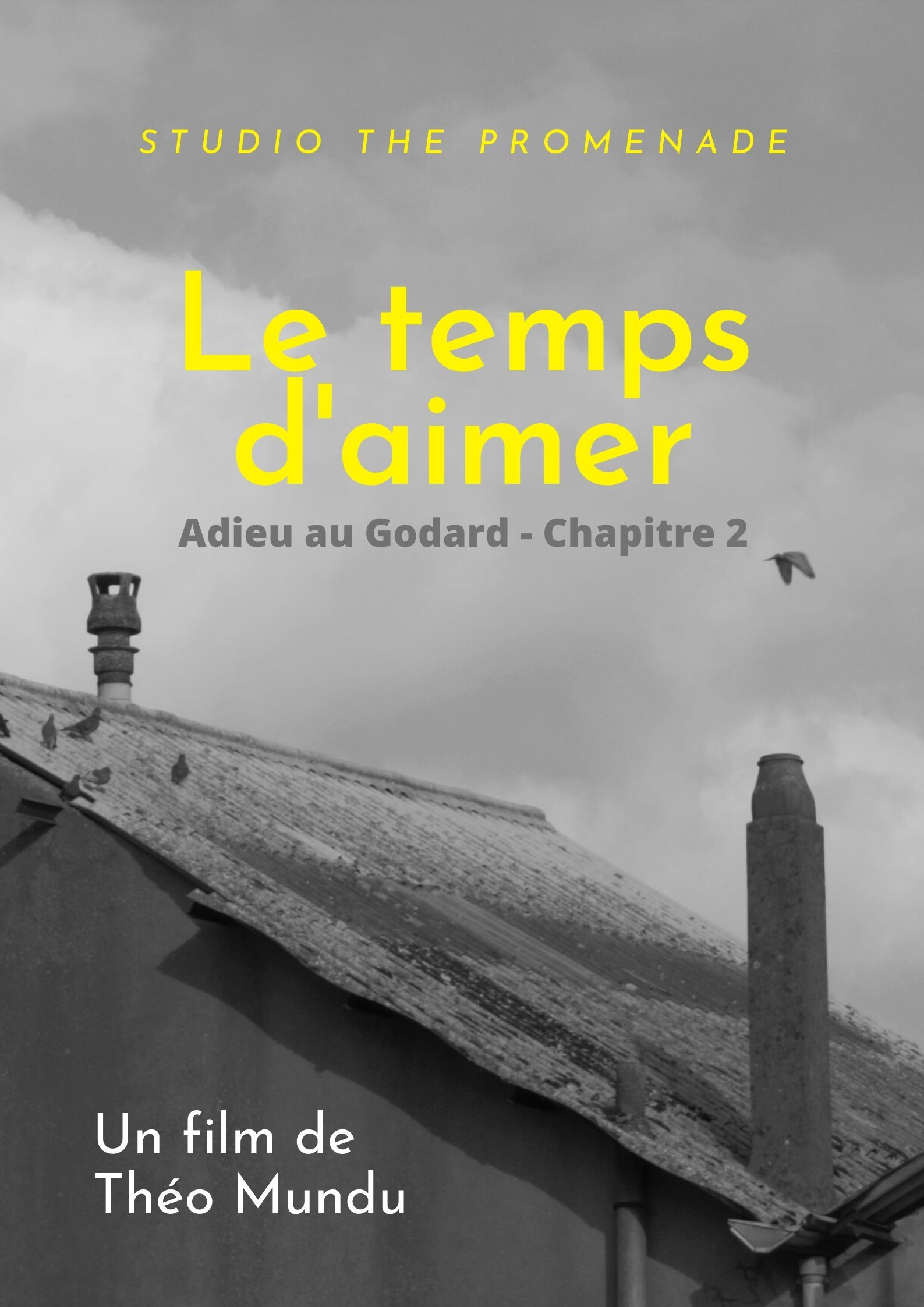 Amélie Ou Le Temps D Aimer Affiches, posters et images de Le temps d'aimer (2021) - SensCritique