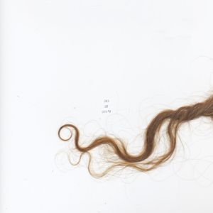 Did (Single)