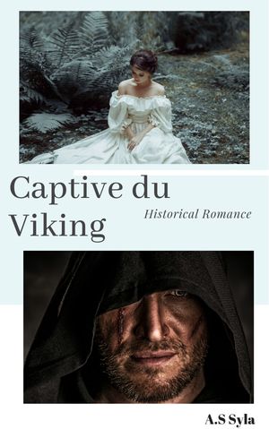 Captive du Viking