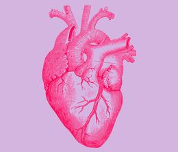 image-https://media.senscritique.com/media/000019445503/0/The_Heart.jpg