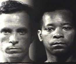 image-https://media.senscritique.com/media/000019446833/0/black_white_study_1990.jpg