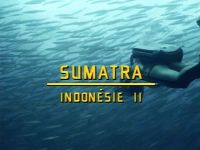 Sumatra : le cœur de la mer