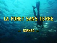 Bornéo : La Forêt sans terre
