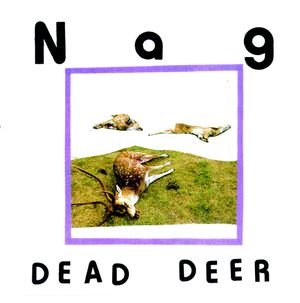 Dead Deer