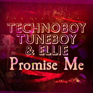 Promise Me (Single)