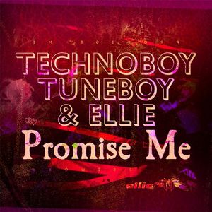 Promise Me (radio edit)