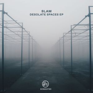 Desolate Spaces EP (EP)