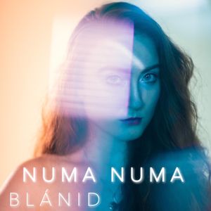 Numa Numa (Dragostea Din Tei) (Single)