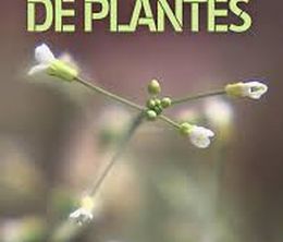 image-https://media.senscritique.com/media/000019455384/0/secrets_de_plantes.jpg