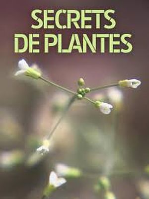 Secrets de plantes