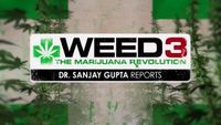 The Marijuana Revolution