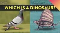 What Is A Dinosaur And What Isn’t?