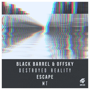 Destroyed Reality / MT (Single)