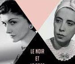 image-https://media.senscritique.com/media/000019470010/0/duels_chanel_vs_schiaparelli_le_noir_et_le_rose.jpg