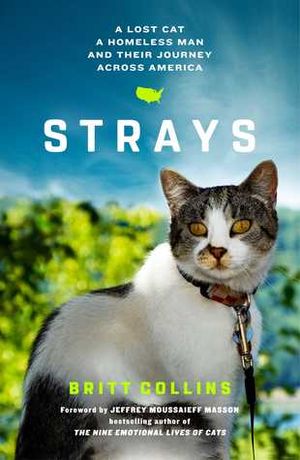 Strays : A Lost Cat, a Homeless Man, and Their Journey Across America