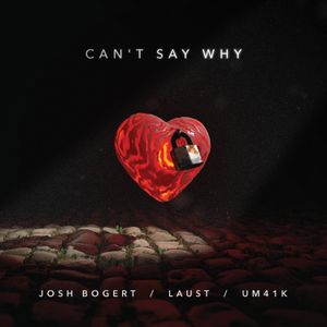 Can’t Say Why (Single)