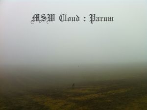 Parum (Single)