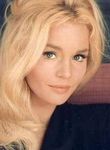 Photo Tuesday Weld