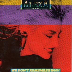 We Don't Remember Why (Single)