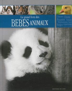 Bébés animaux