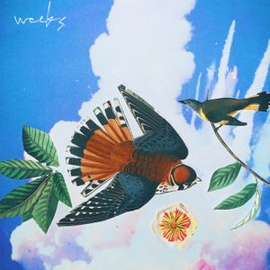 Weeks (Single)