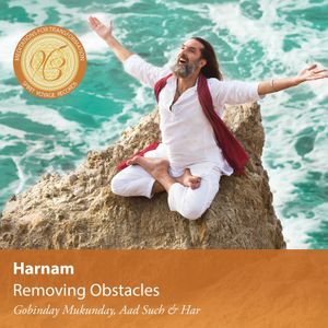 Removing Obstacles