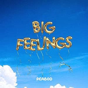 Big Feelings (Single)