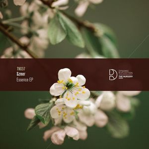 Essence EP (EP)